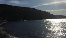 The shore of Terra Nova National Park